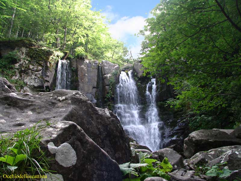  Image name: 01-cascate del dardagna.jpg 
 width: 800 pixel 
 height: 600 pixel 
 Size: 96026 bytes 
 Click to enlarge 